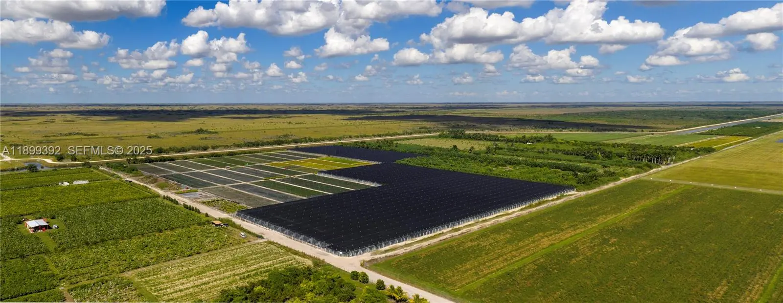 Photo of Listing #A11899392