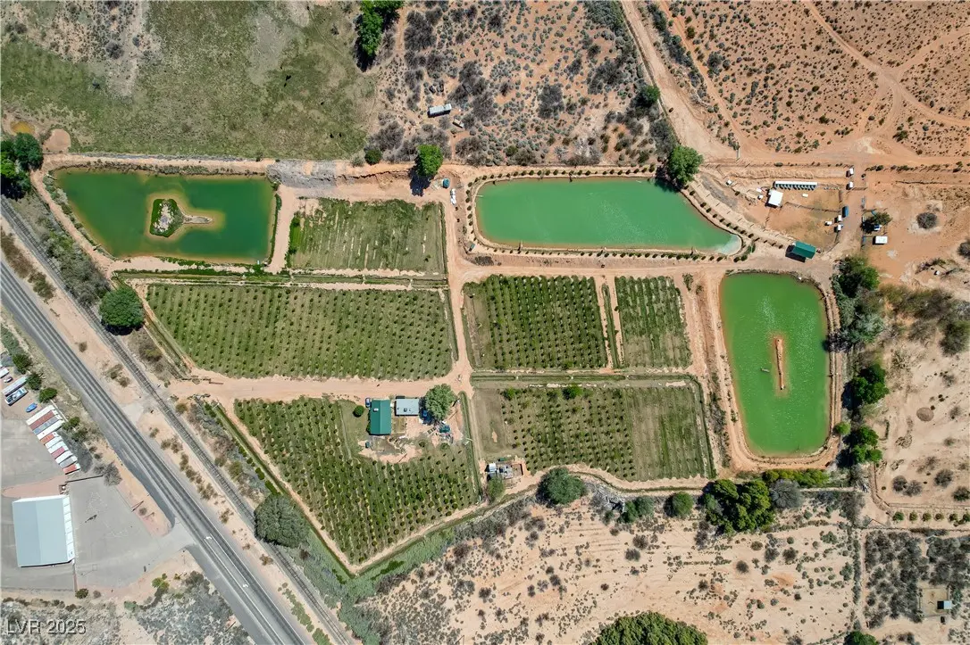 Photo of Listing #2729133