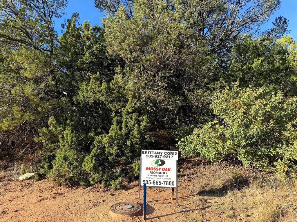 9 Peterson Rd., Edgewood