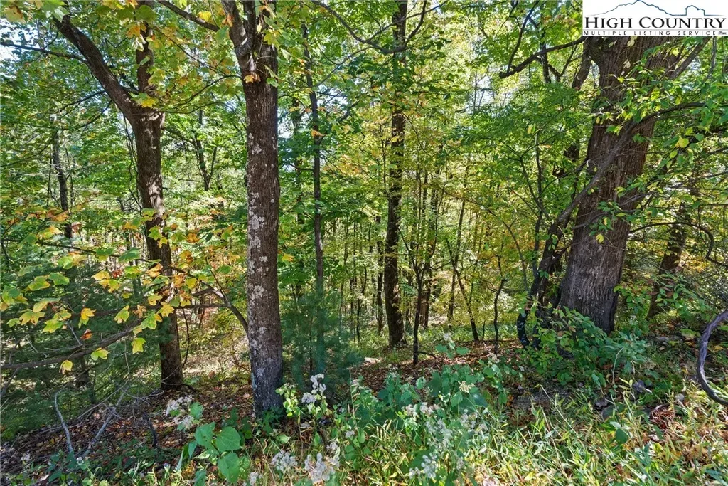 Tbd Reynolds Parkway, Boone