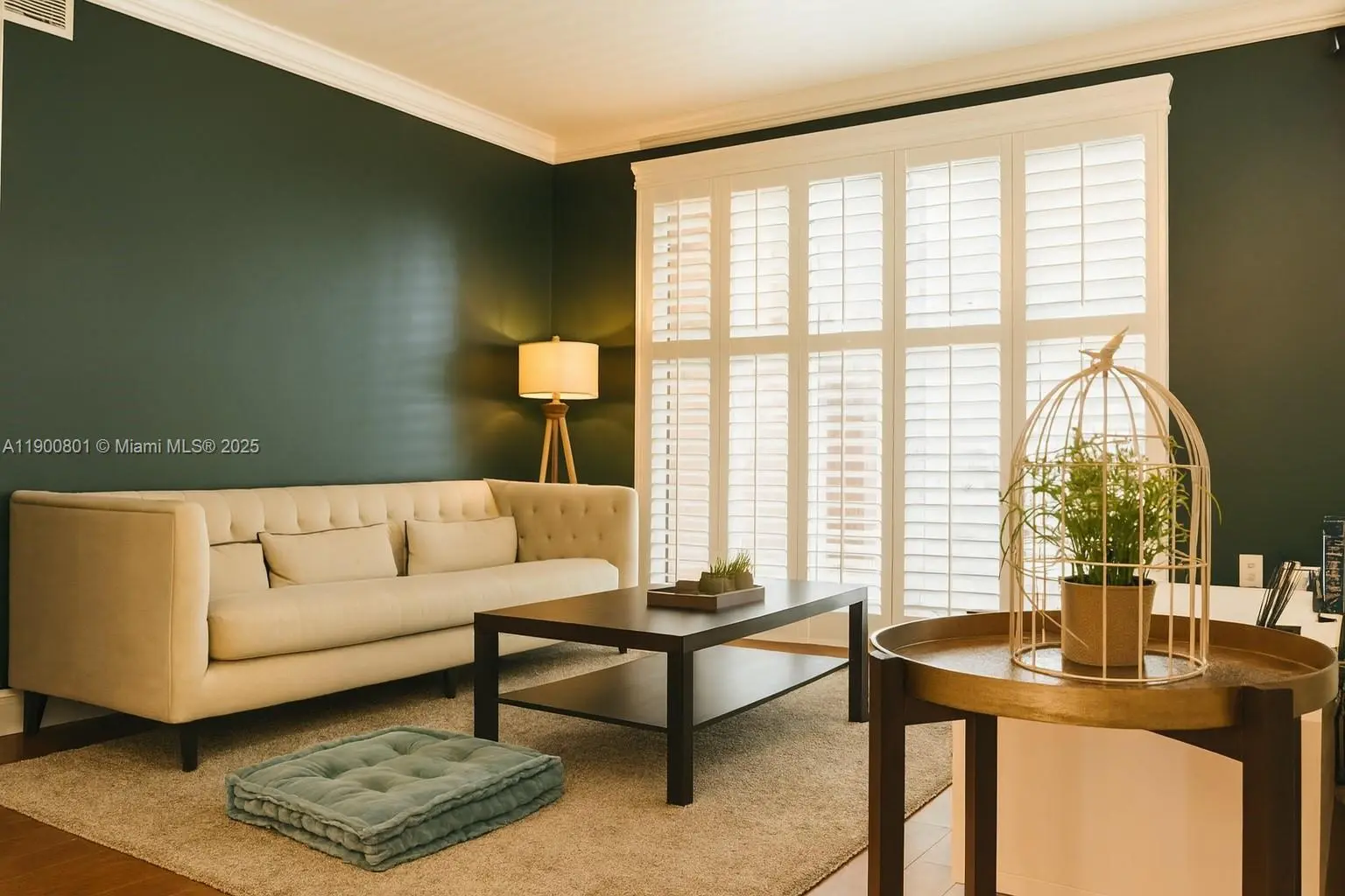 Photo of Listing #A11900801