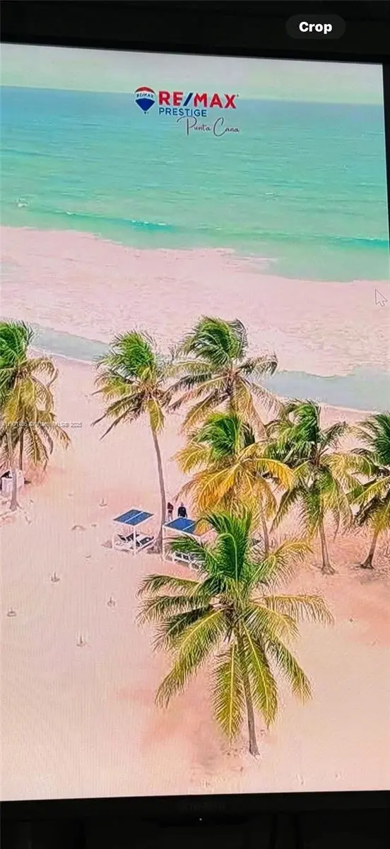 Photo of Listing #A11901406