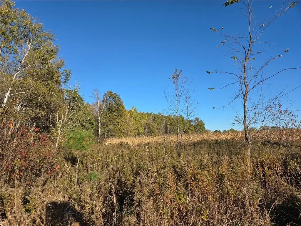 Intersection Of Hwy. 48 & Co. Rd. 25, Rice Lake