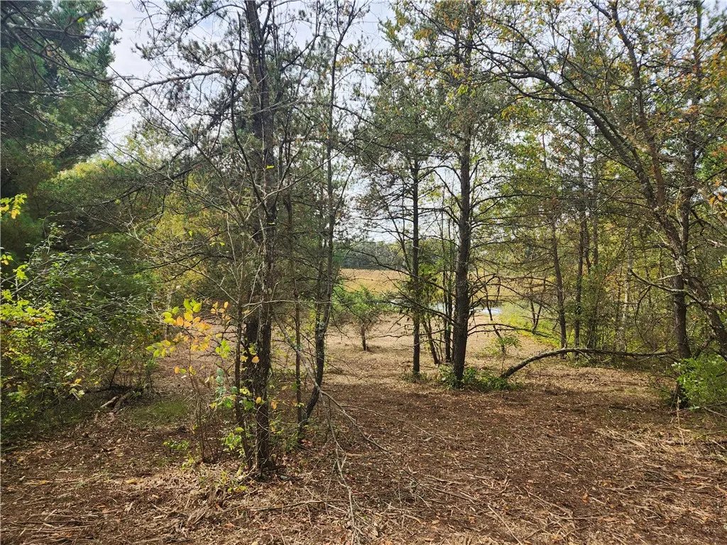 Lot 1 & 2 Of Csm 1548 N County Road  F, Chetek