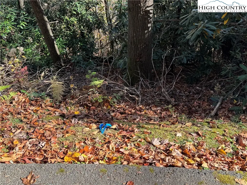 Tbd Hews Circle, Blowing Rock