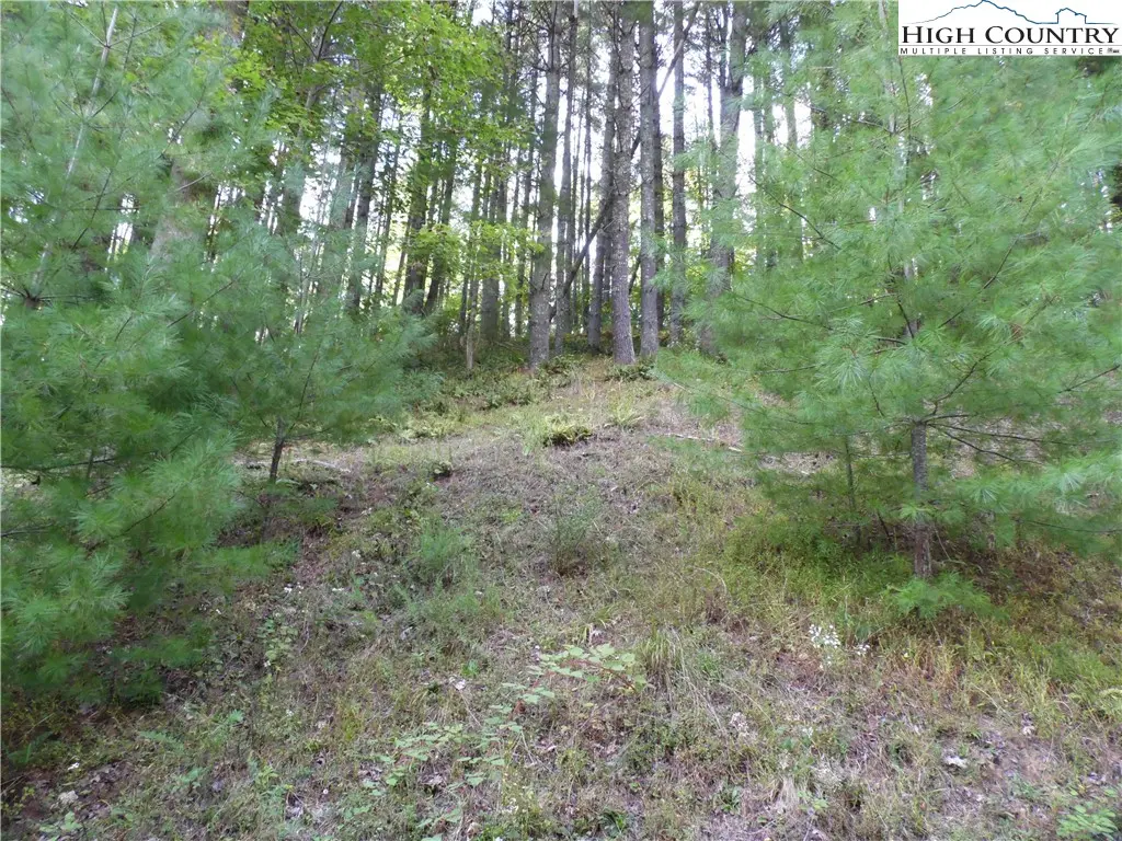 Tbd Woodlands Drive, Piney Creek