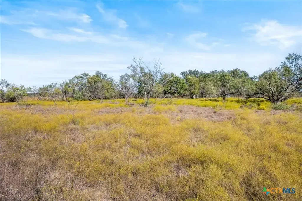 Tbd-82.6 Acres Farm Market 221, Hamilton