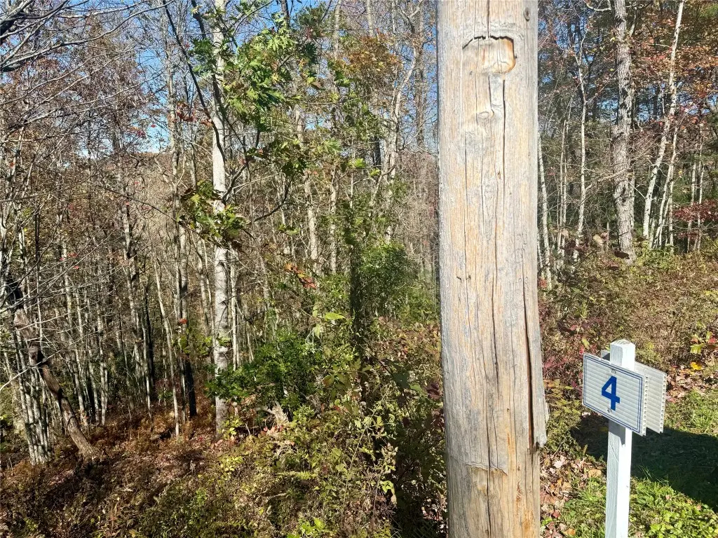 Stone Cliffs Ln, Cashiers