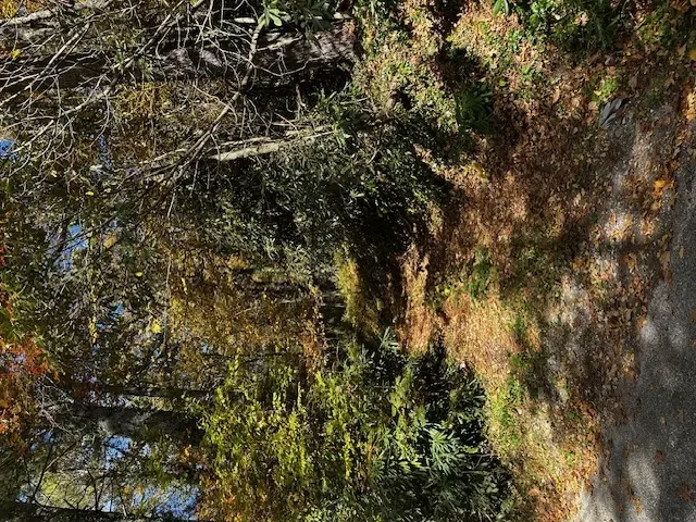 Tbd Foreman Road, Highlands