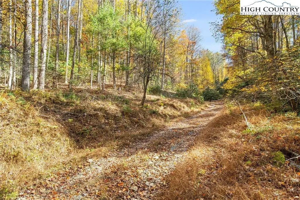 Tbd Monroe Herman #1 Road, Banner Elk