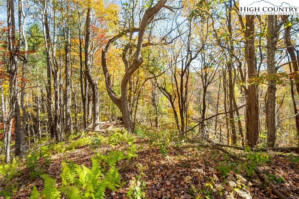 Tbd Monroe Herman #3 Road, Banner Elk