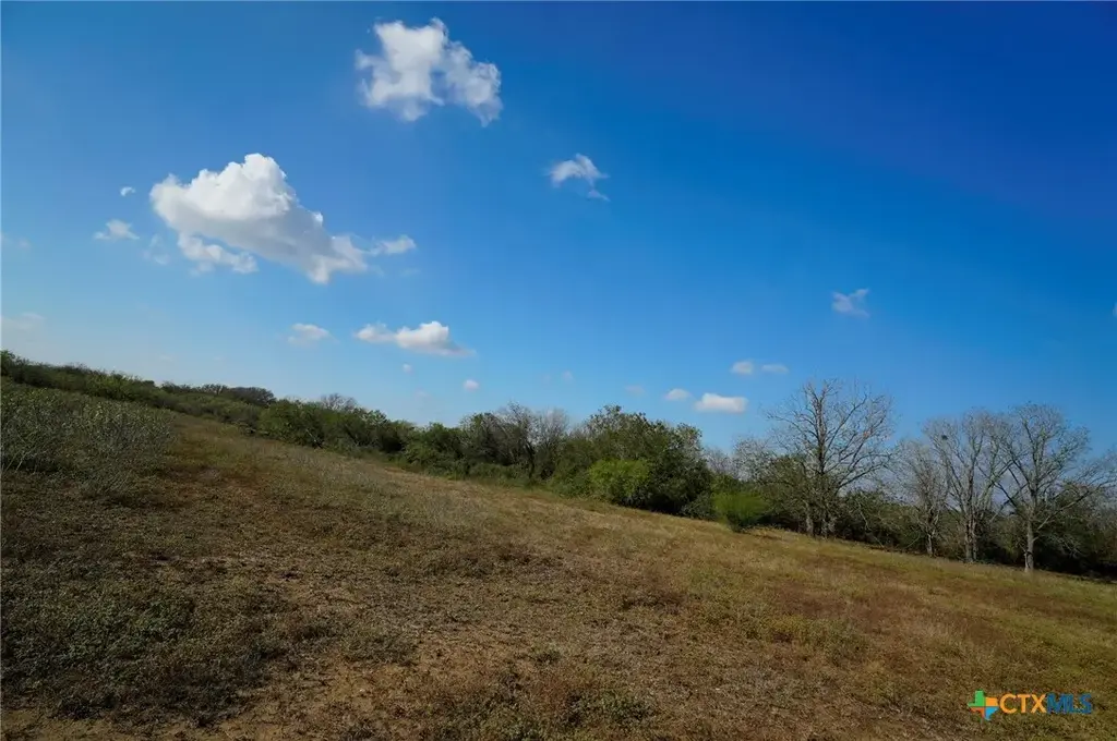Lot 12 Cr 447, Waelder