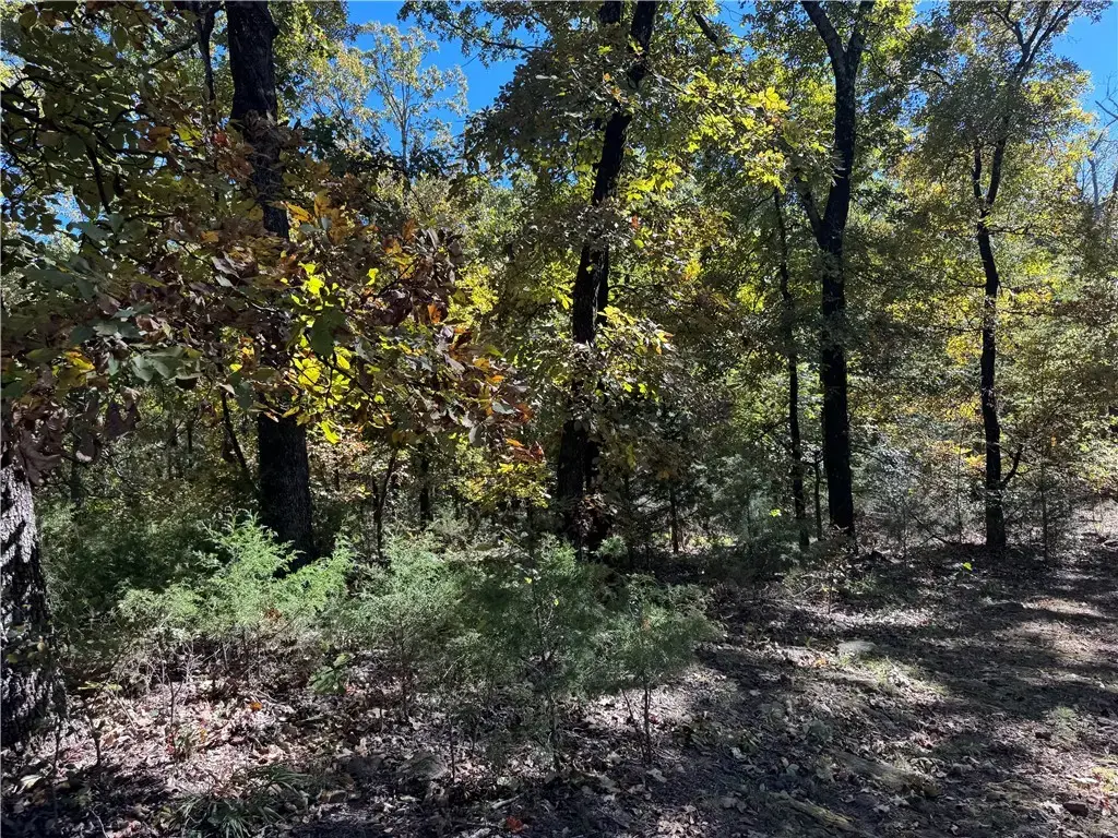 1 W 867 Road, Other OK