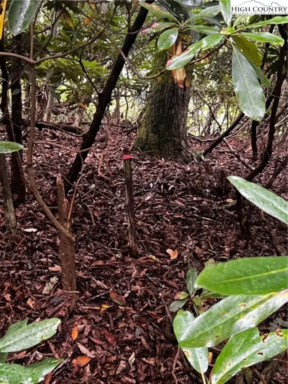 Tbd Grandview Drive, Banner Elk