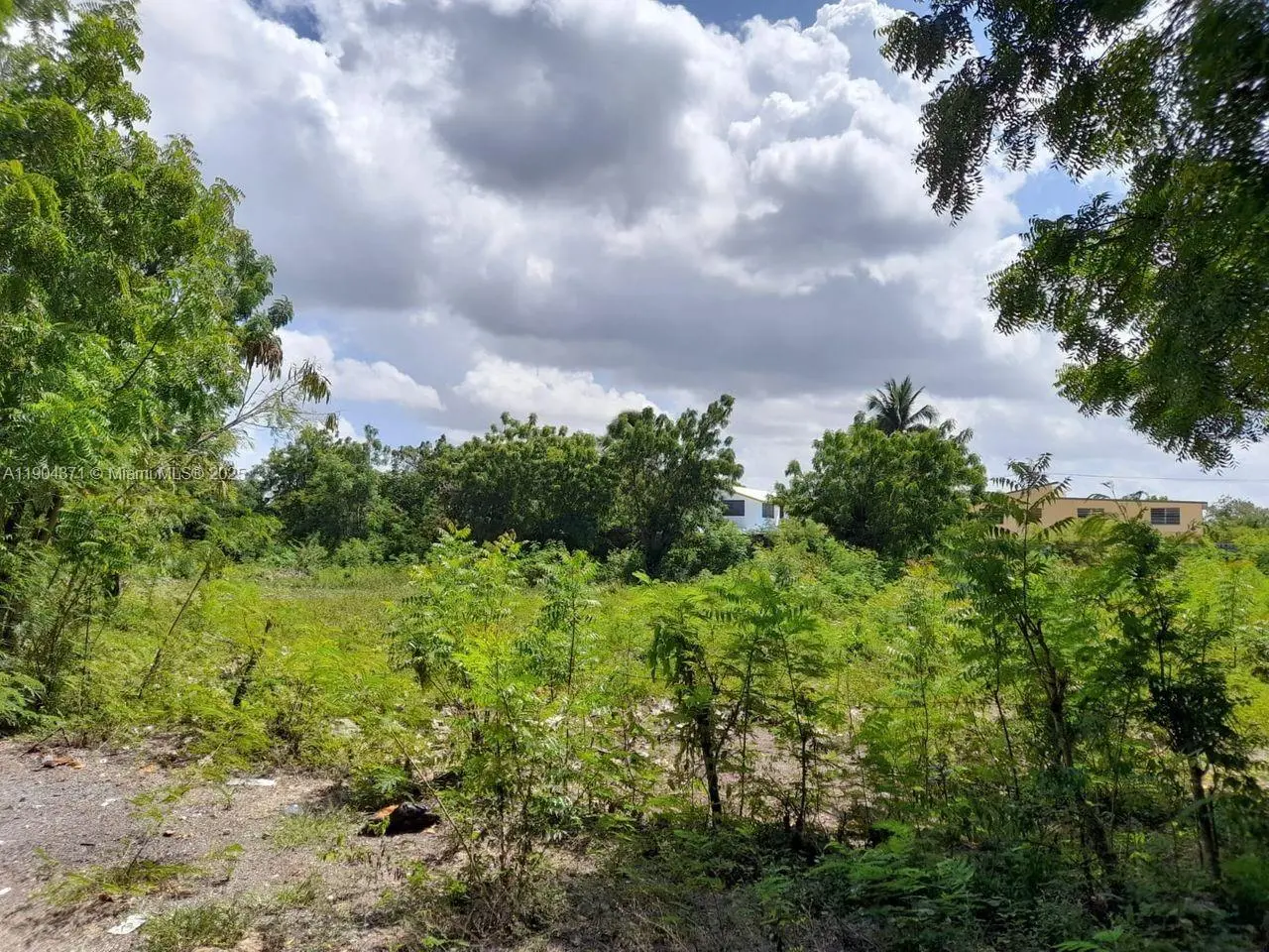 Photo of Listing #A11904371