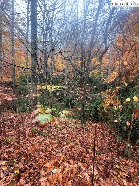 Tbd Old Hwy 16, Jefferson