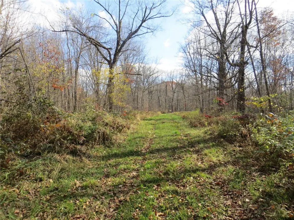 Xxx Castle Oaks Ln, Thorp