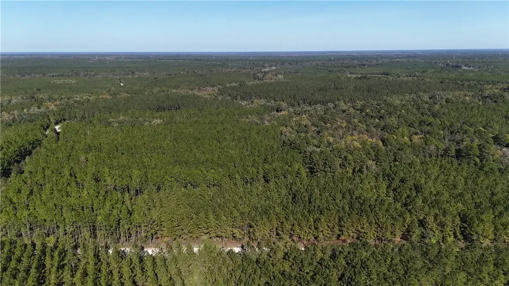 Antioch Cemetery Road, Folkston