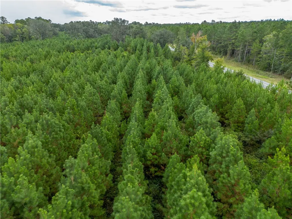 Bachlott Church Road, Nahunta