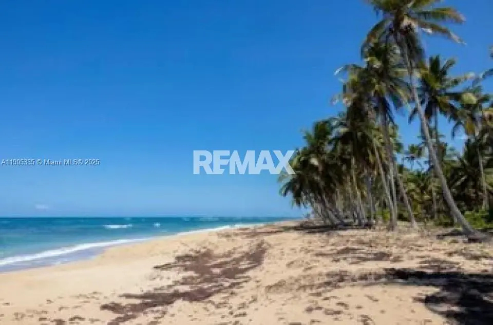 Photo of Listing #A11905335