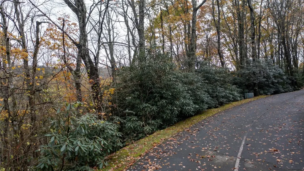 Lot 10 Sassafras Court, Highlands