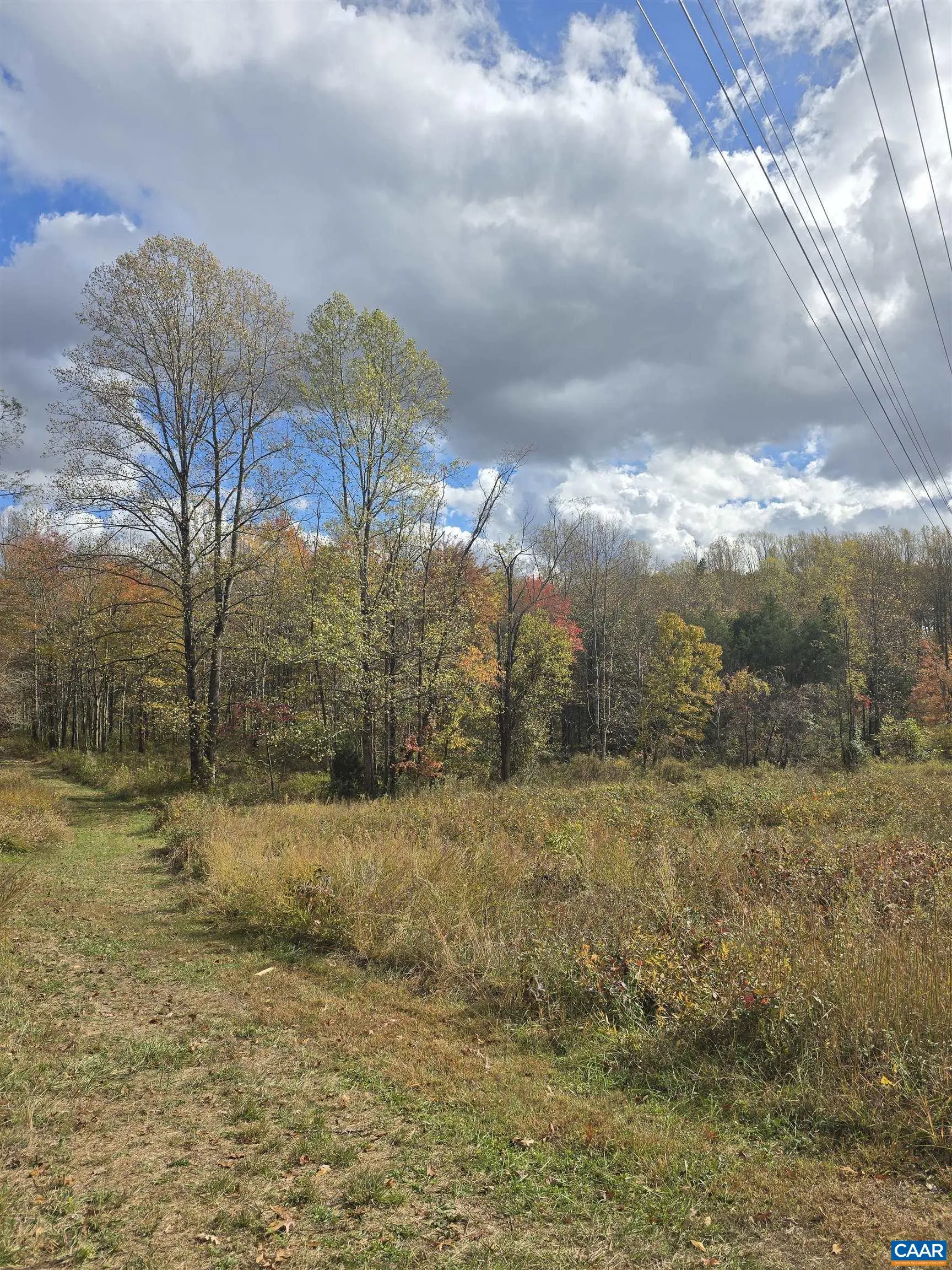 Lot C Sycamore Ln, Ruckersville