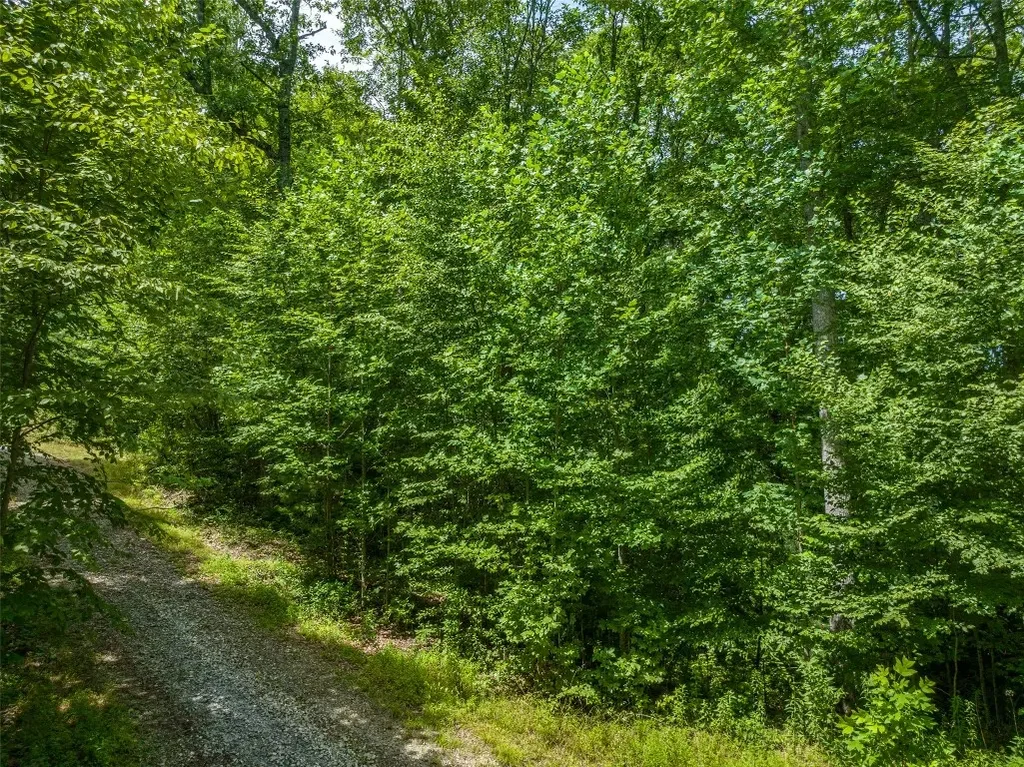 13-15 Tall Cedars, Glenville