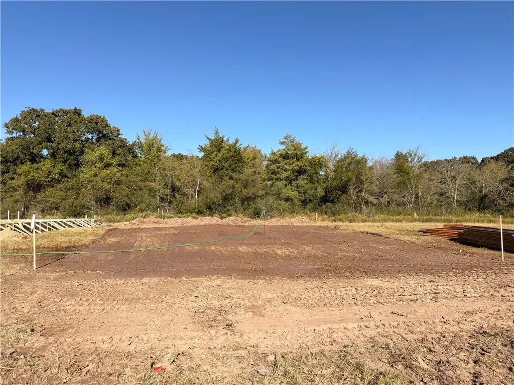 5689 Fox Bluff Drive, Bryan