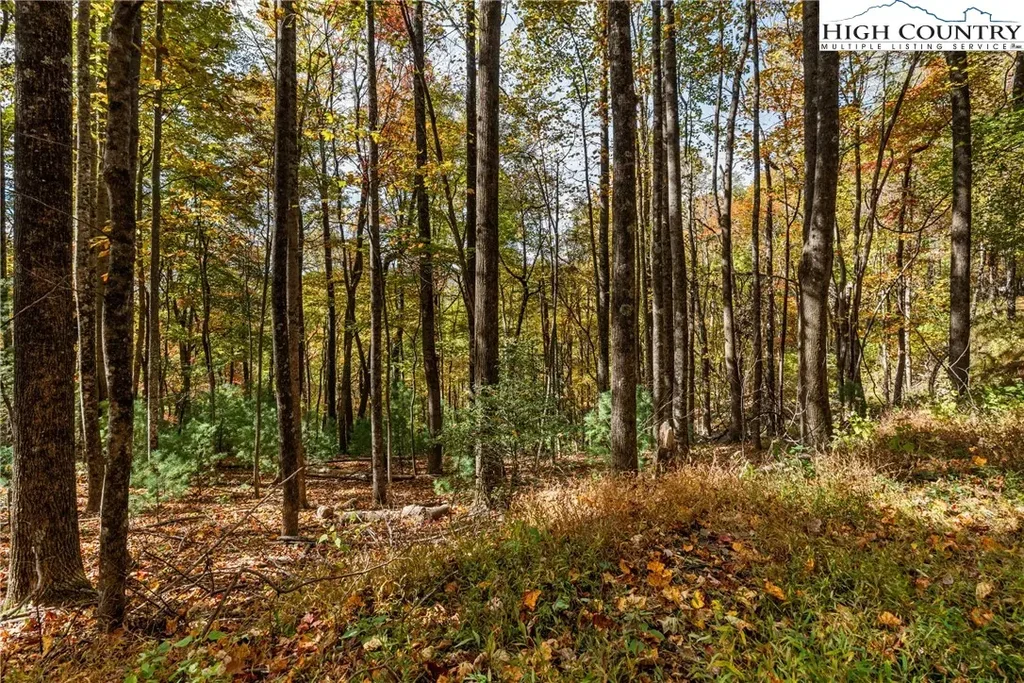 Tbd - Lot 24 Ben Miller Road, Deep Gap