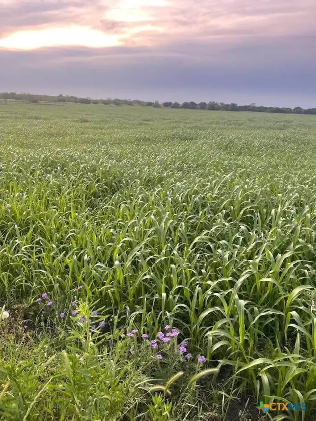 Tbd Private Road 3642, Copperas Cove