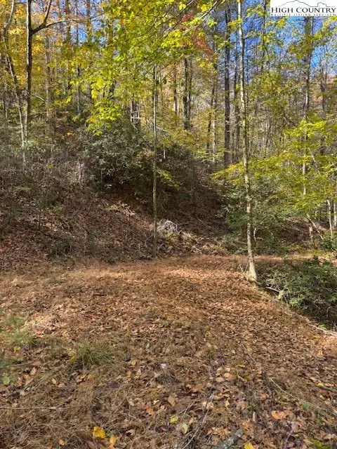 78 Holleridge Road, Ferguson