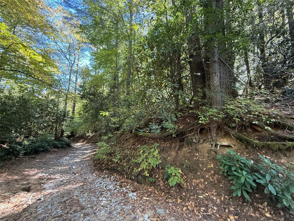 Lot Bc Blindside Lane, Cashiers