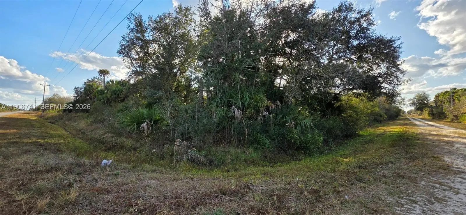 Photo of Listing #A11906741