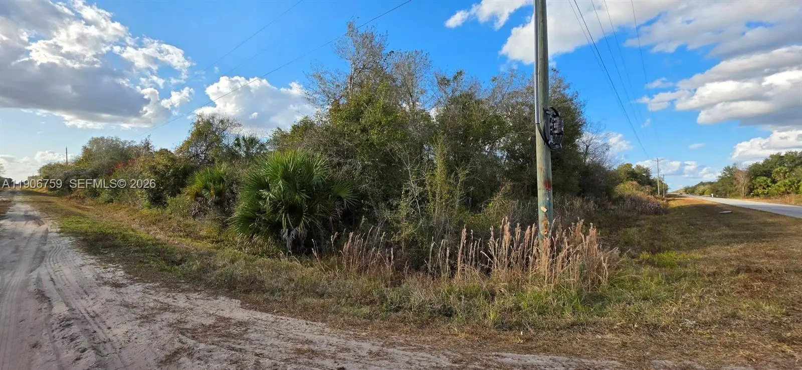 Photo of Listing #A11906759