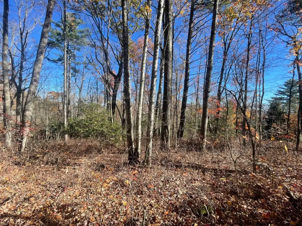 E-149 N High Mountain Drive, Cashiers