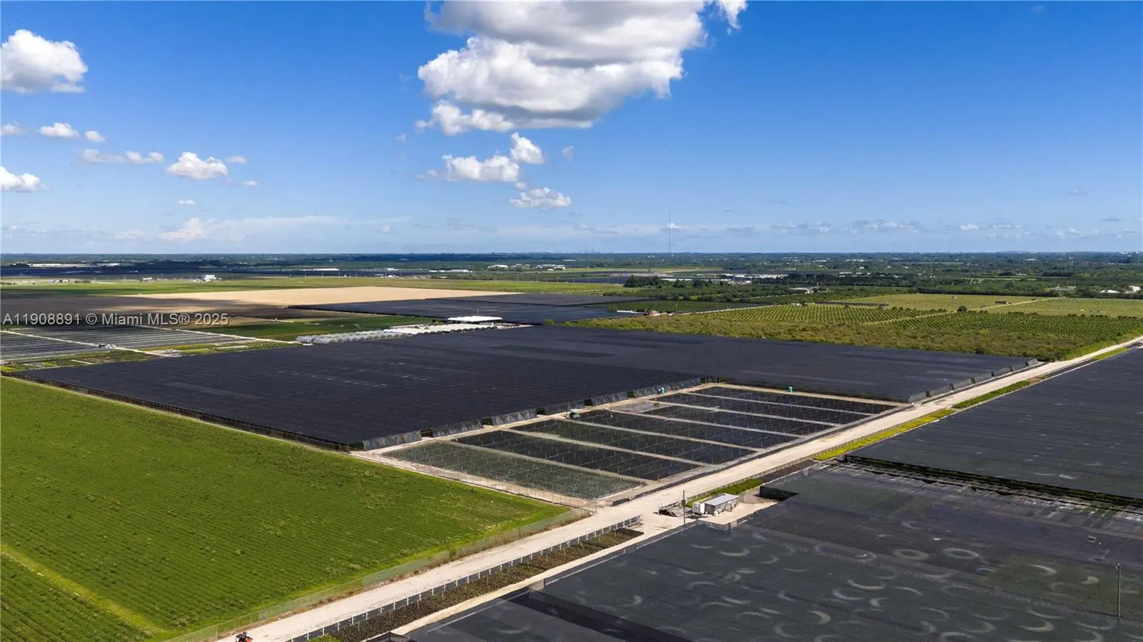 Photo of Listing #A11908891