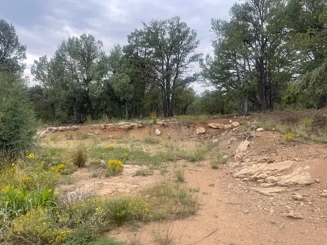 15 Corte Vargas, Glorieta