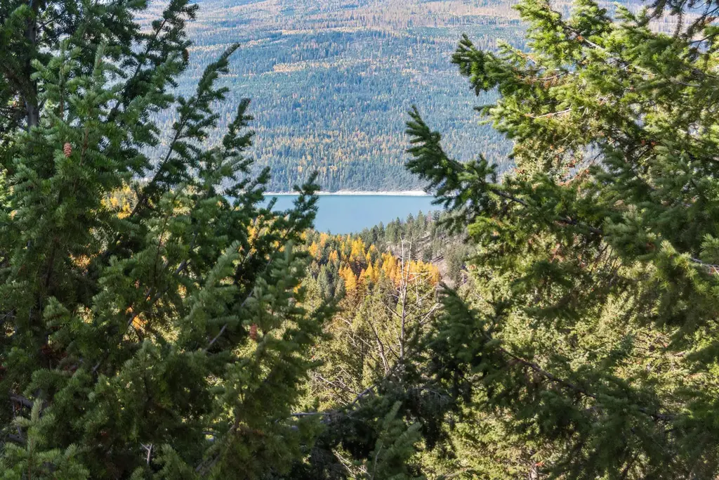 Nhn Paradise Ridge Road, Rexford
