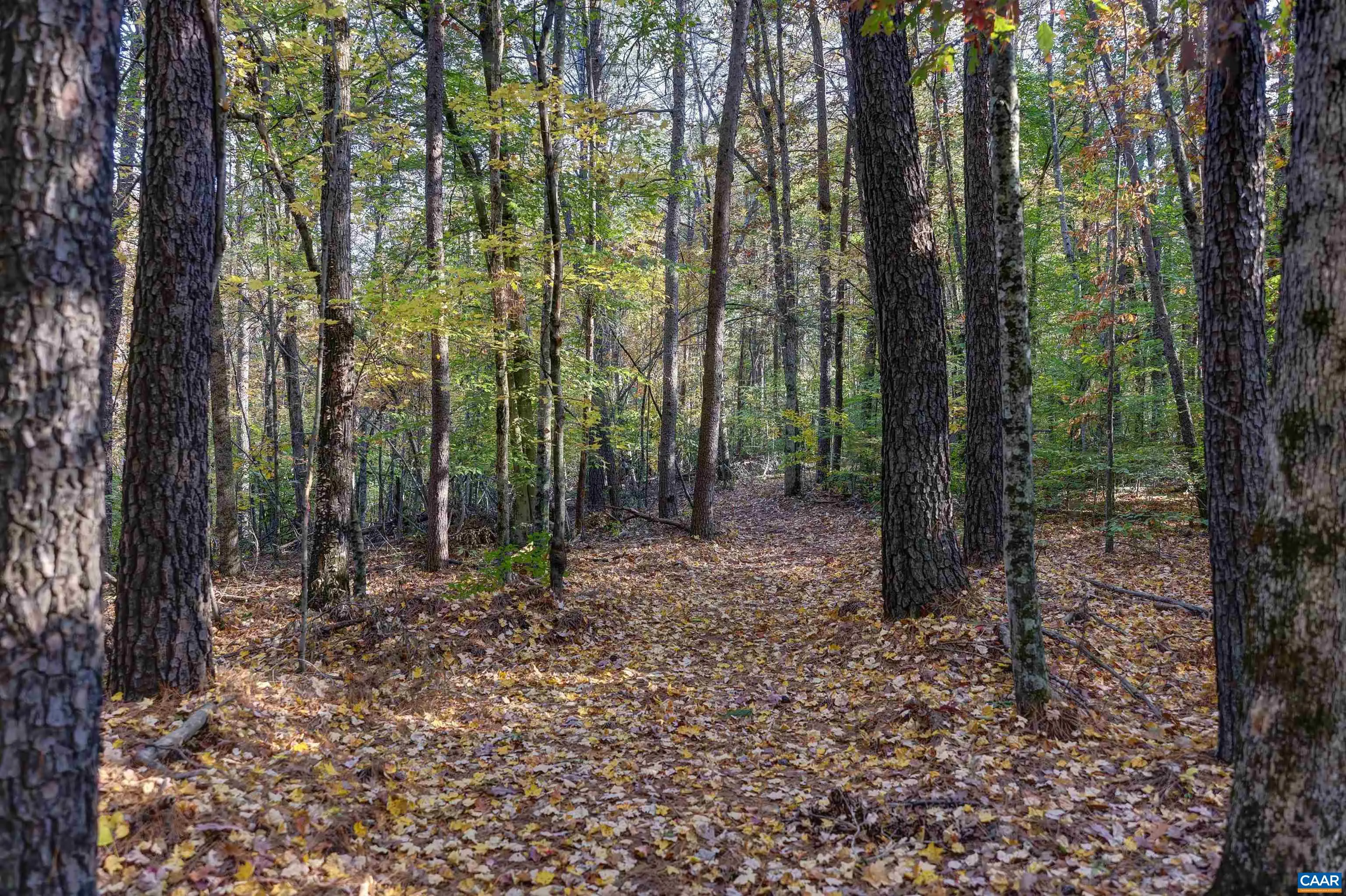Lot B Link Evans Ln, Earlysville
