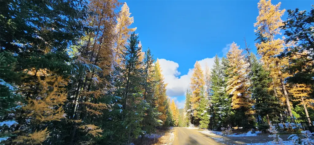 Lot 8 Tamarack Lane, Rexford
