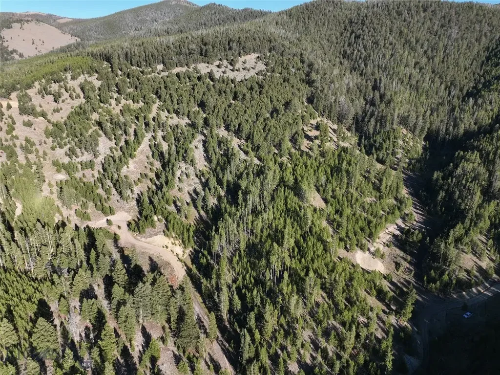 Tbd Ruby Mine Road, Butte