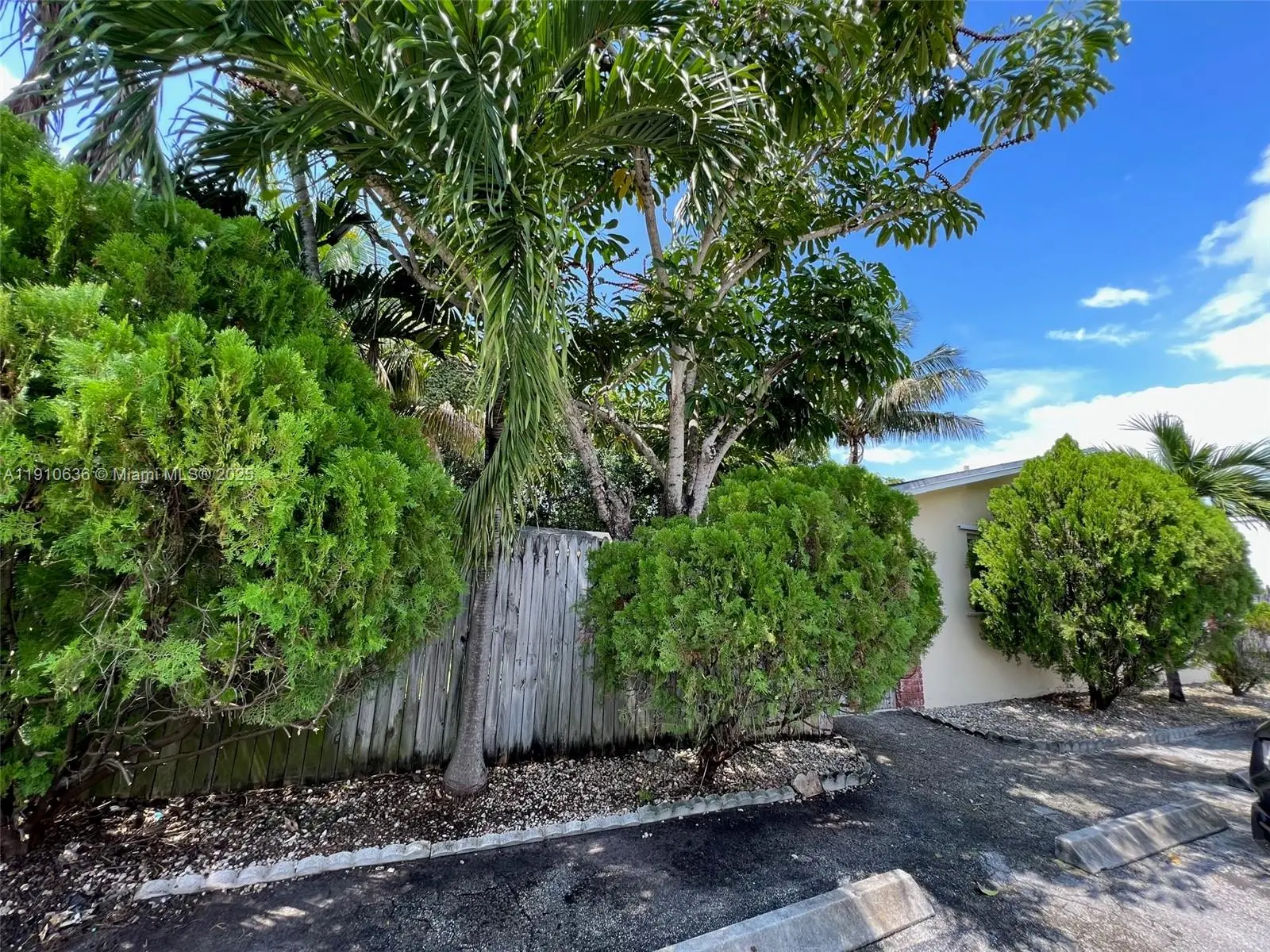 Photo of Listing #A11910636