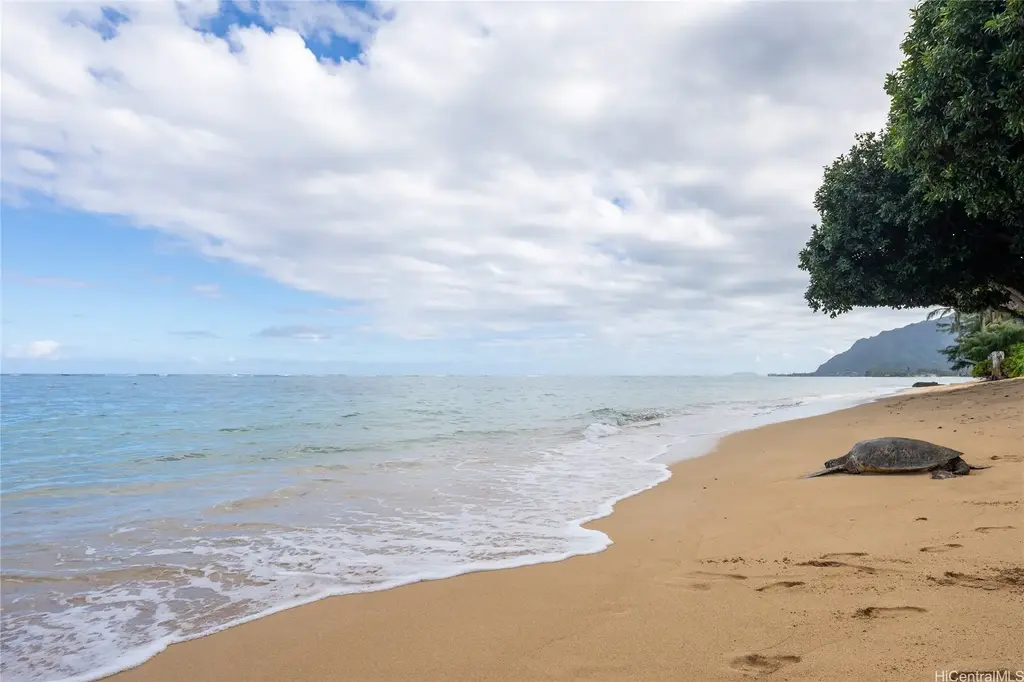 53-549 Kamehameha Highway # 209, Hauula