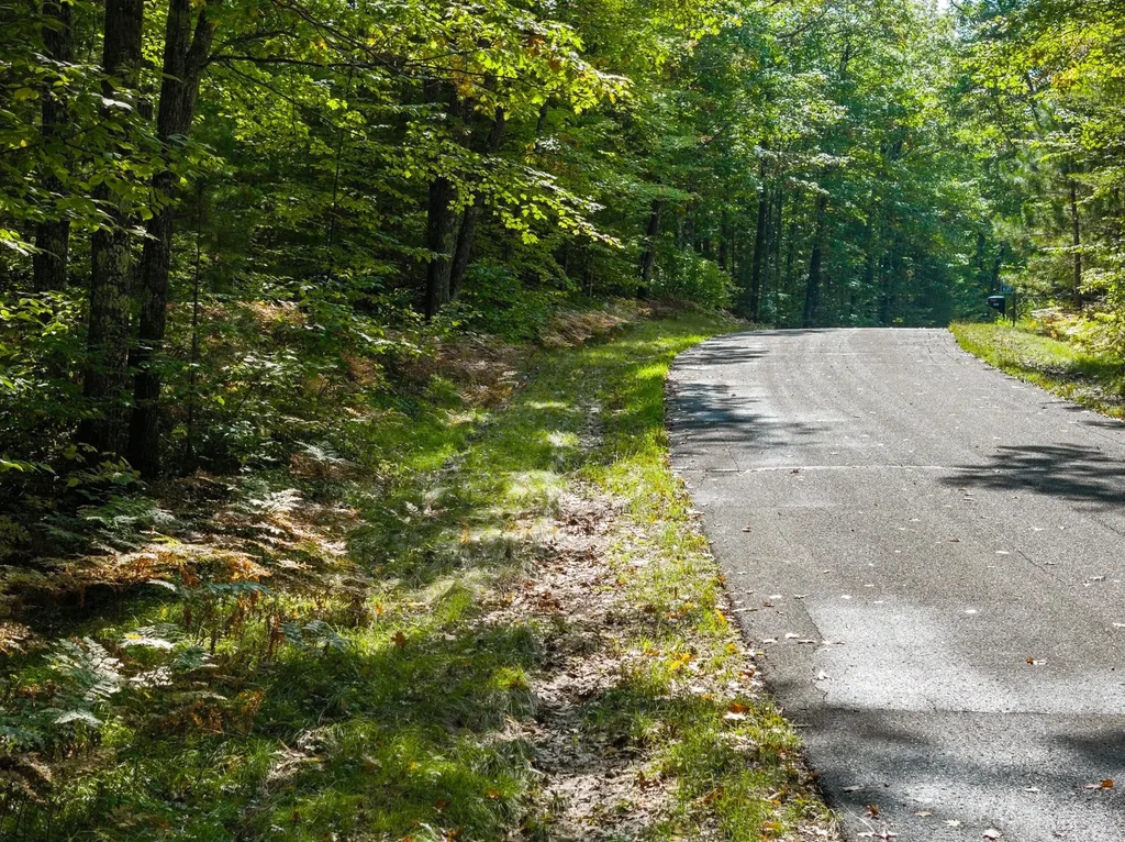 Lot 3 Lake Yawkey Dr, Hazelhurst