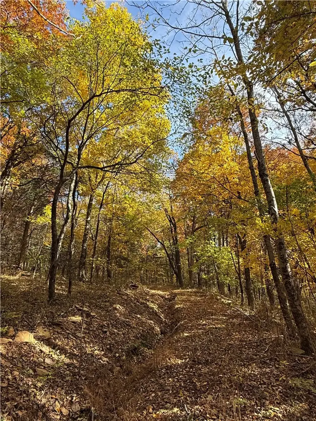14710 Summer Shade Road, West Fork