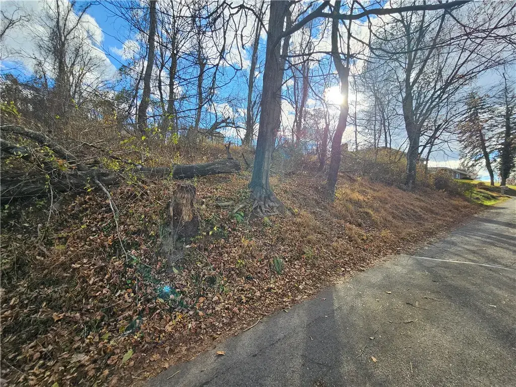 Lot 10-11 Arch Street , Monessen