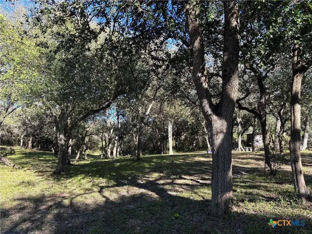 2168 River Oaks, Skidmore