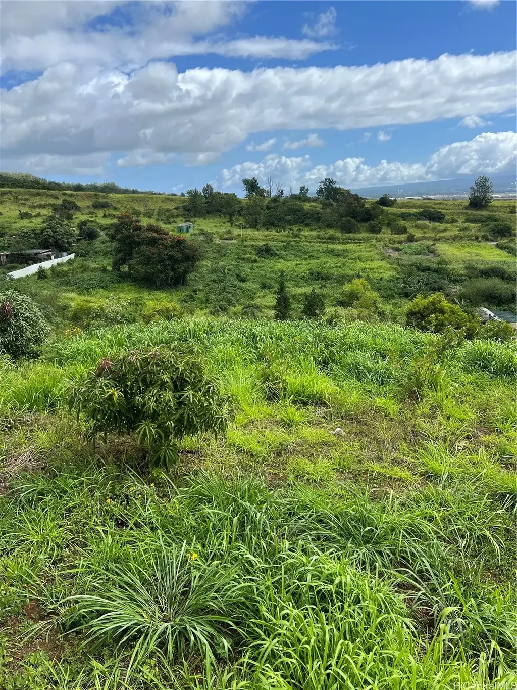 94-1100 Kunia Road # 88 - A, Waipahu