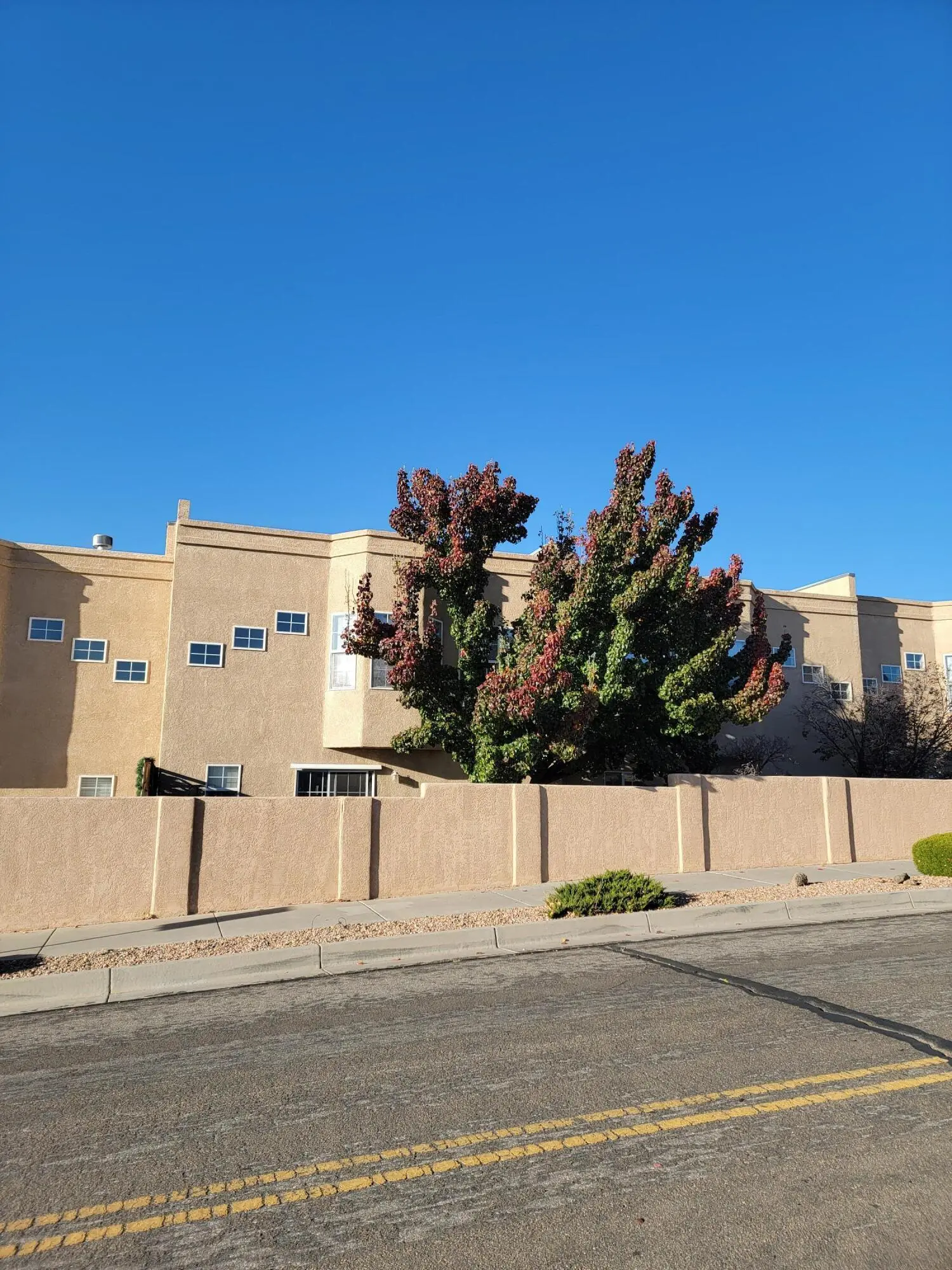 4904 Serena Circle Ne, Albuquerque