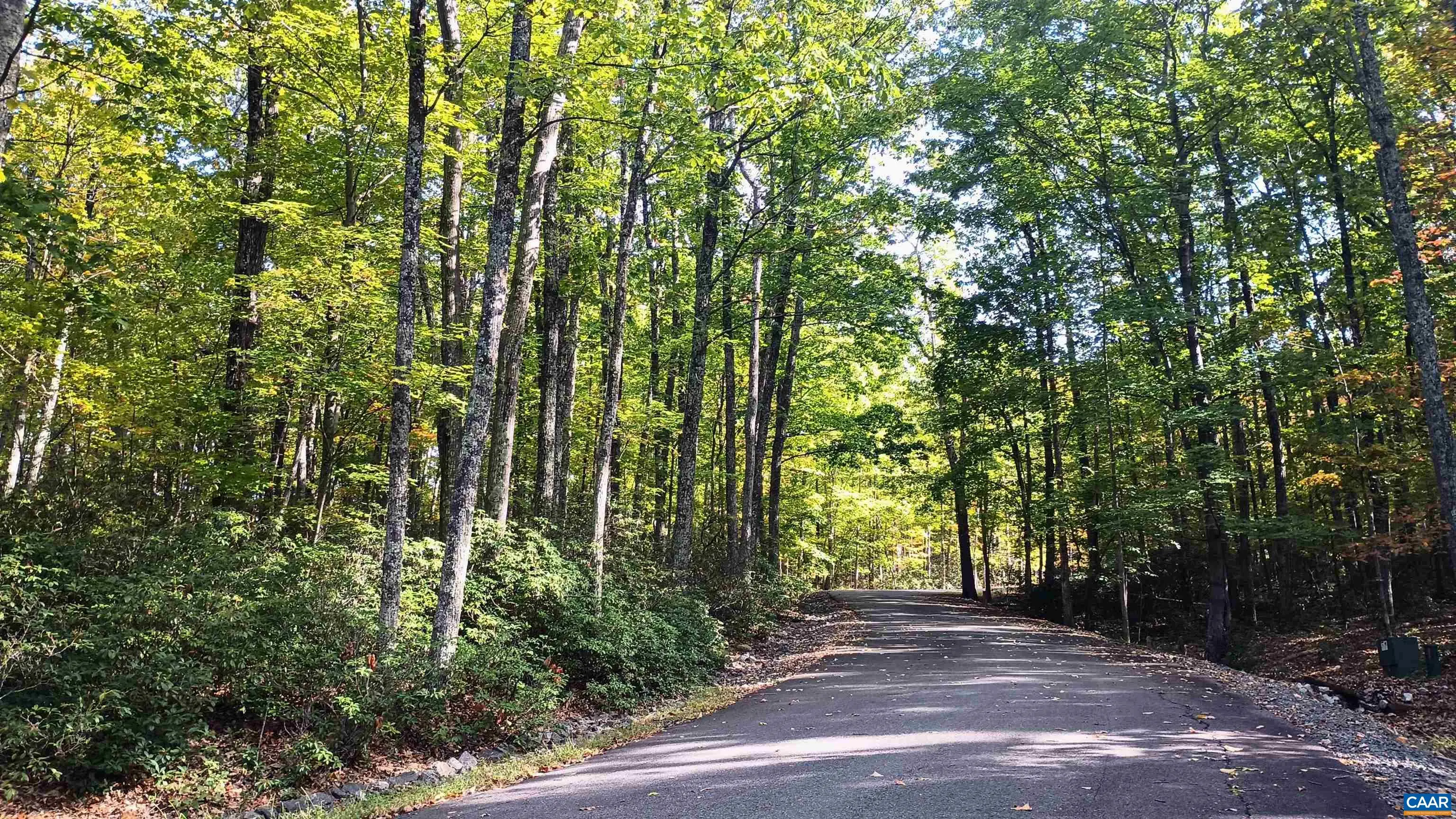 Oakcrest Ln, Nellysford